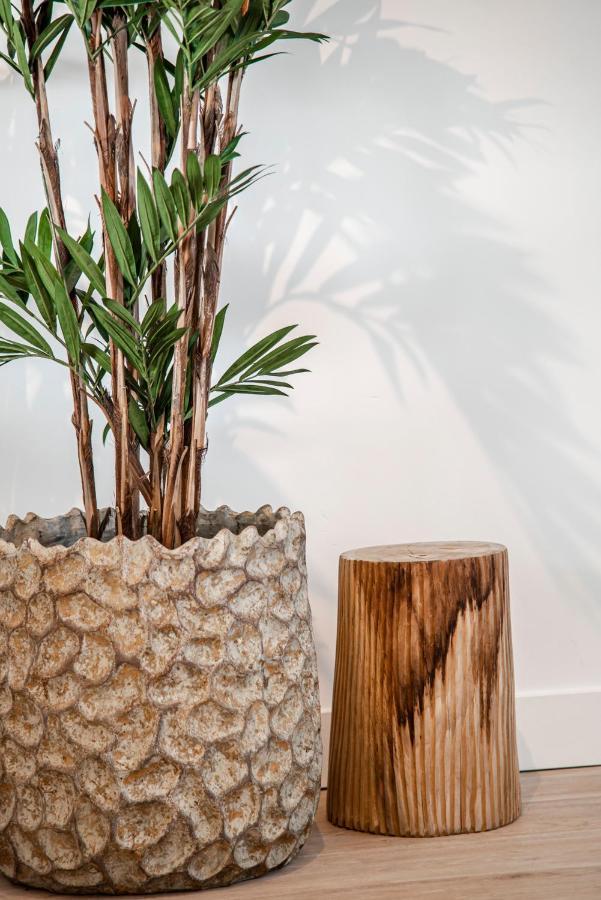 Yucca Beachhouse Zandvoort Eksteriør bilde